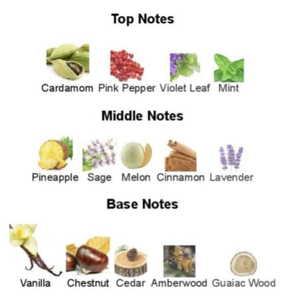 Forever Perfume Inspired by Stronger With You