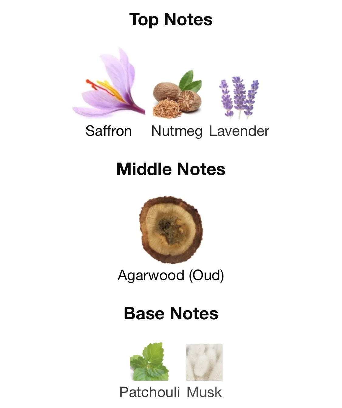 Supreme Oud Perfume Inspired by Oud For Greatness